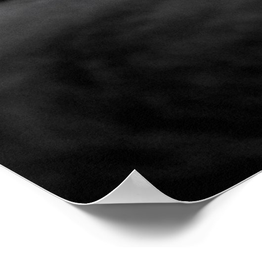 Zwarte Perzische kat Poster (Hoek)