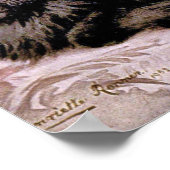 Zwarte Perzische kat Poster (Hoek)