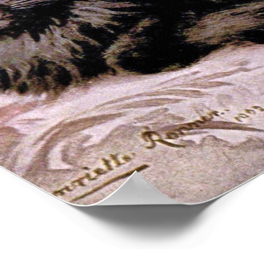 Zwarte Perzische kat Poster (Hoek)