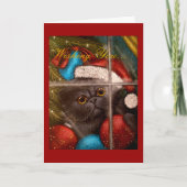 ZWARTE PERZISCHE KITTEN CAT VAKANTIE KAART (Voorkant)