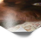 Zwarte perzische kitten foto afdruk (Hoek)