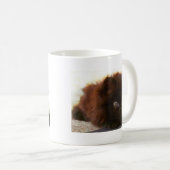 Zwarte Perzische Kitten-mok Koffiemok (Voorkant rechts)