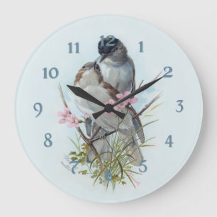Zwarte Pet Warbler Birds Grote Klok