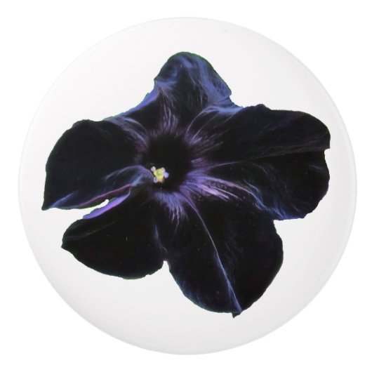 Zwarte Petunia Keramische knop (Voorkant)