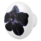 Zwarte Petunia Keramische knop (Rechts)