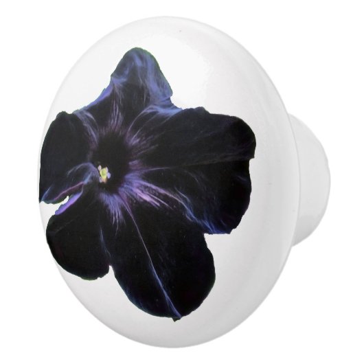 Zwarte Petunia Keramische knop (Rechts)