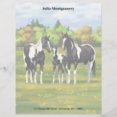 Zwarte Pinto-verf kwart paarden in zomerdeeg Briefhoofd (Voorkant)