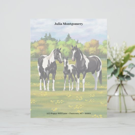 Zwarte Pinto-verf kwart paarden in zomerdeeg Briefhoofd (Staand voorkant)