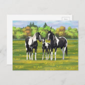 Zwarte Pinto-verf kwart paarden in zomerdeeg Briefkaart (Voorkant / Achterkant)