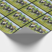 Zwarte Pinto-verf kwart paarden in zomerdeeg Cadeaupapier (Hoek)