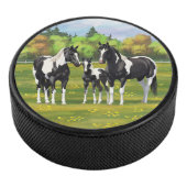 Zwarte Pinto-verf kwart paarden in zomerdeeg Hockey Puck (3/4)
