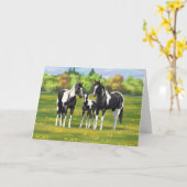 Zwarte Pinto-verf kwart paarden in zomerdeeg Kaart (Gele Bloem)