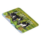 Zwarte Pinto-verf kwart paarden in zomerdeeg Magneet (Rechterzijde)