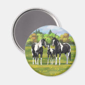 Zwarte Pinto-verf kwart paarden in zomerdeeg Magneet (Voorkant / Achterkant)
