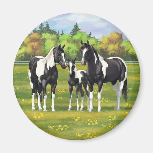 Zwarte Pinto-verf kwart paarden in zomerdeeg Magneet (Voorkant)