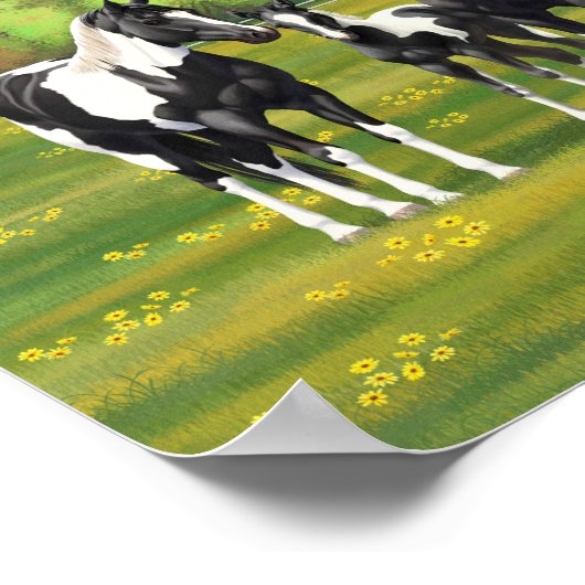 Zwarte Pinto-verf kwart paarden in zomerdeeg Poster (Hoek)