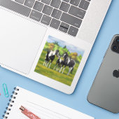 Zwarte Pinto-verf kwart paarden in zomerdeeg Sticker (Laptop met iPhone)