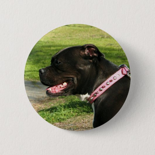 Zwarte Pit Bull Ronde Button 5,7 Cm (Voorkant)