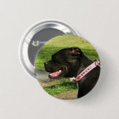 Zwarte Pit Bull Ronde Button 5,7 Cm (Voorkant /achterkant)