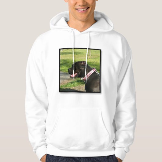 Zwarte Pitbull sweatshirt (Voorkant)