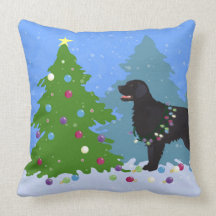 Zwarte platte wandelaar - Kerstbos