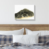Zwarte Poedel canvas ingelijst print (Insitu (Slaapkamer))