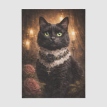 Zwarte poes met stijl