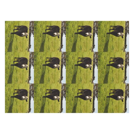 Zwarte poly-Koe met witte zijde, Tafelkleed (Voorkant (Horizontaal))