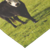 Zwarte poly-Koe met witte zijde, Tafelkleed (Gekanteld)