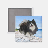 Zwarte Pomeranian aan de kust Magneet (Voorkant / Achterkant)