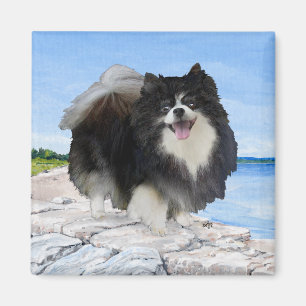 Zwarte Pomeranian aan de kust Magneet