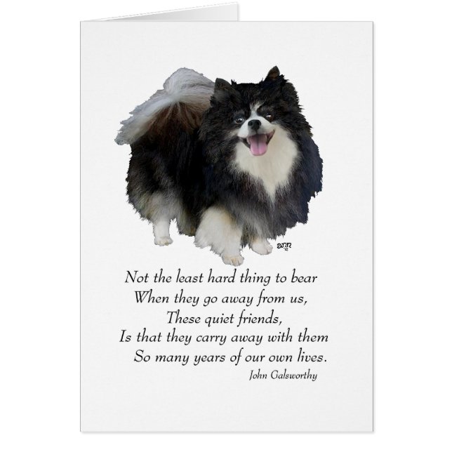 Zwarte Pomeranian Aandenken (Voorkant)