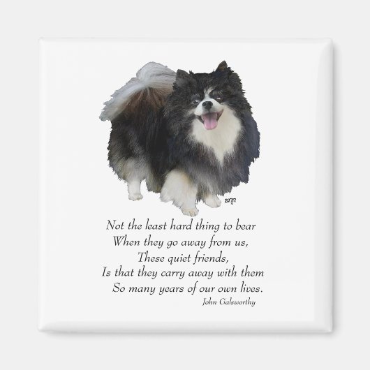 Zwarte Pomeranian Aandenken Magneet (Voorkant)