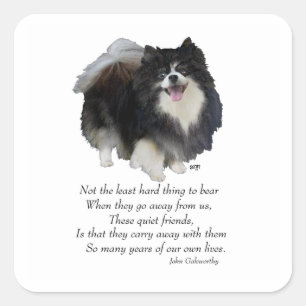 Zwarte Pomeranian Aandenken Vierkante Sticker