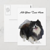 Zwarte Pomeranian Briefkaart (Voorkant / Achterkant)