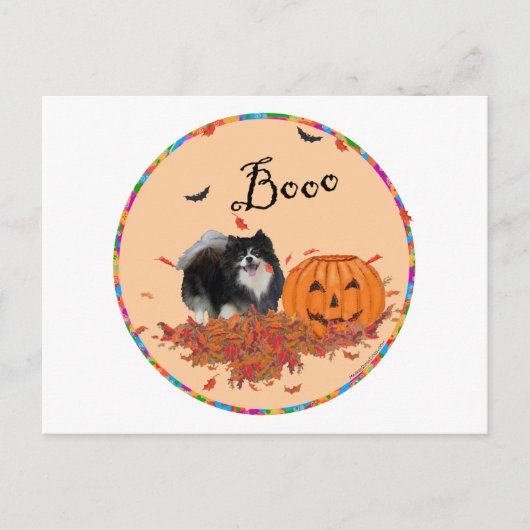 Zwarte Pomeranian Halloween Briefkaart (Voorkant)
