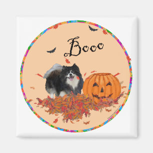 Zwarte Pomeranian Halloween Magneet