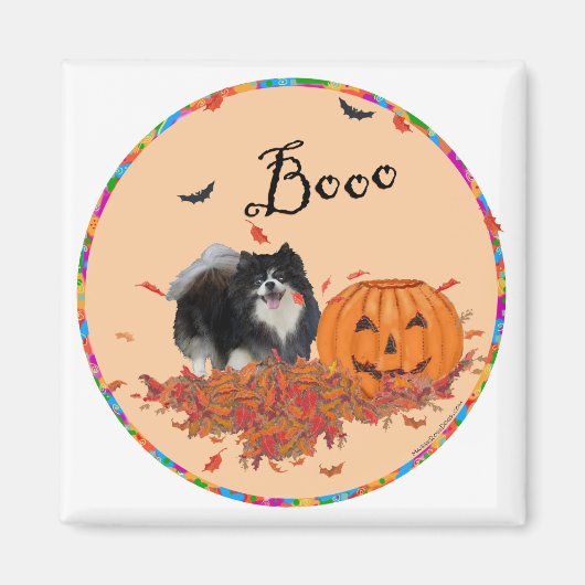 Zwarte Pomeranian Halloween Magneet (Voorkant)