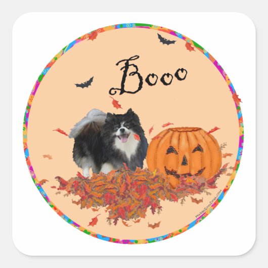 Zwarte Pomeranian Halloween Vierkante Sticker (Voorkant)