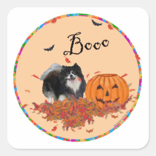 Zwarte Pomeranian Halloween Vierkante Sticker