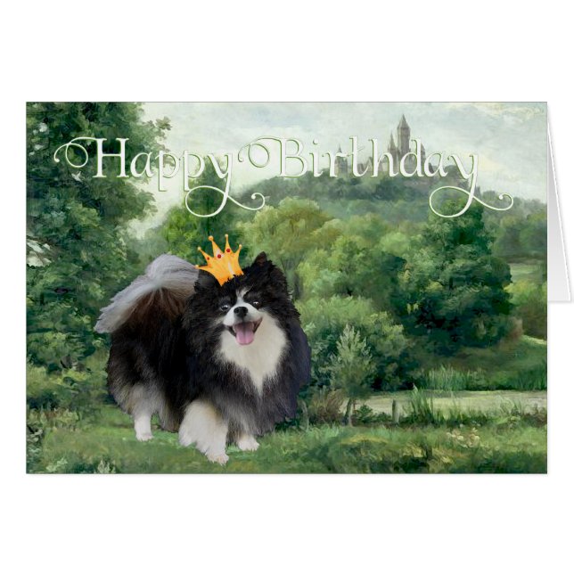 Zwarte Pomeranian Prins (Voorkant Horizontaal)