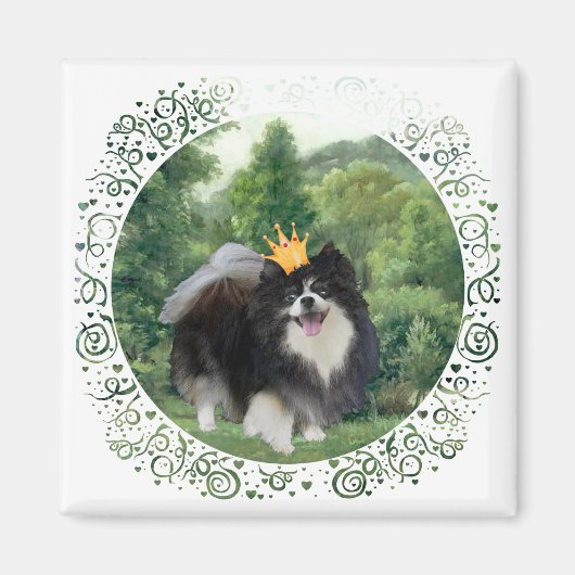 Zwarte Pomeranian Prins Magneet (Voorkant)