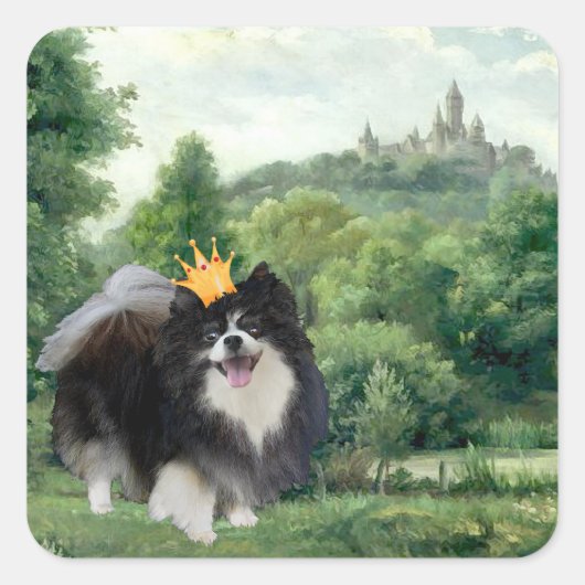 Zwarte Pomeranian Prins Vierkante Sticker (Voorkant)