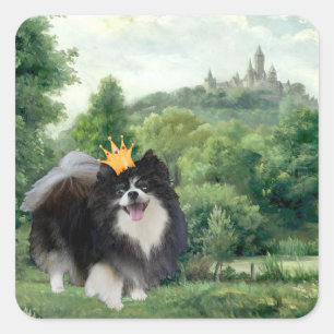 Zwarte Pomeranian Prins Vierkante Sticker