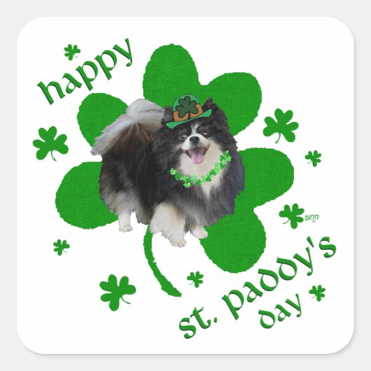 Zwarte Pomeranian St. Patrick's Day Vierkante Sticker (Voorkant)