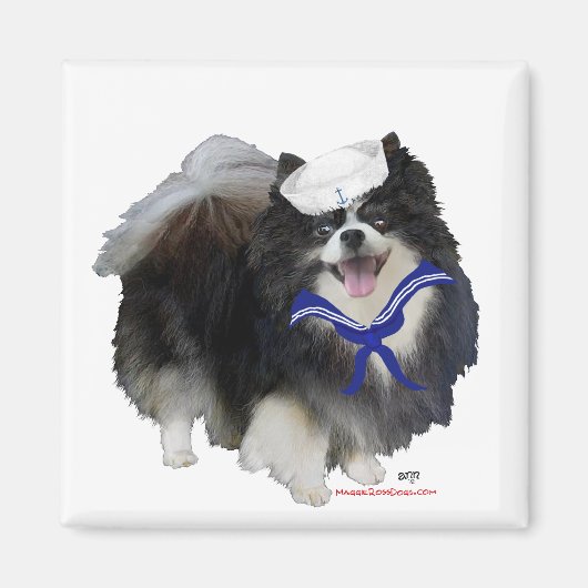 Zwarte Pomeranian Zeiler Magneet (Voorkant)