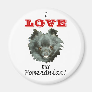 Zwarte Pommeren-ik hou van mijn Pommeren! Magneet