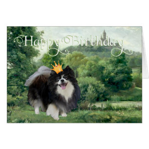 Zwarte Pommeren Prins