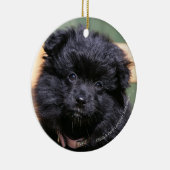 Zwarte Pommeren Puppy Keramisch Ornament (Rechts)