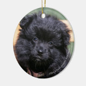 Zwarte Pommeren Puppy Keramisch Ornament (Links)